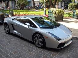 Lamborghini Gallardo sport car picture.jpg
