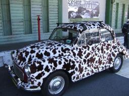 funky car photo.jpg