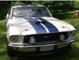 American Muscle Car 10 in white and dark blue.jpg