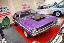 Custom Car Show 20 in dark purple.jpg