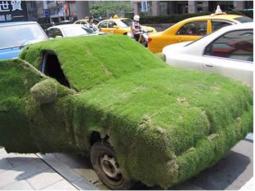 Grass Covered Car.JPG