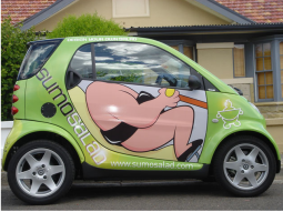 Smart car with funny painting.PNG