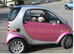 Silver pink smart car pictures.PNG