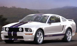 2005 Ford Mustang_Ford race car photo.PNG