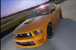 Grabber Orange Mustang GT_modern muscle car picture.jpg
