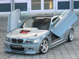 BMW Hamann Laguna Seca car photo.jpg