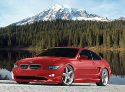 red BMW car with two doors.jpg