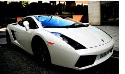 Lamborghini Gallardo in white.jpg